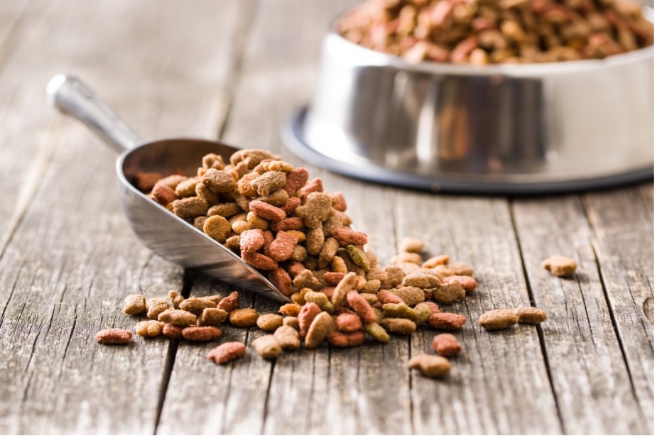 A scoop of dry pet food, Preventing Pet Obesity