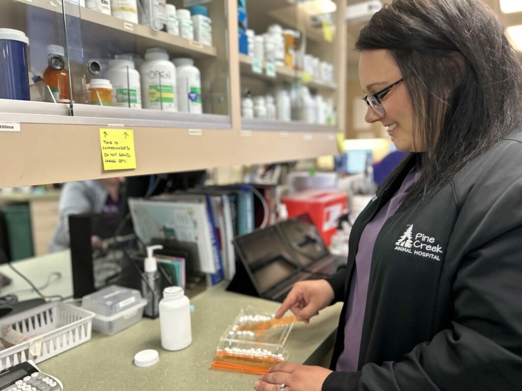 women counting out pet medication