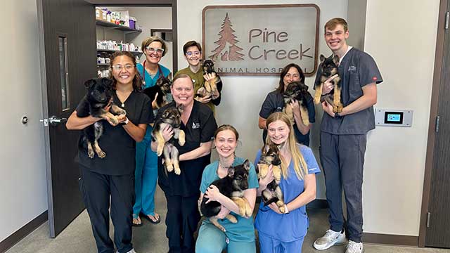 pine creek team photo with puppies